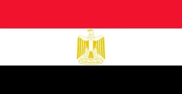 study mbbs in egypt