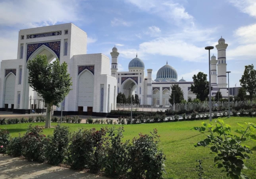 Avicenna Tajik State Medical University (ATSMU) (11)